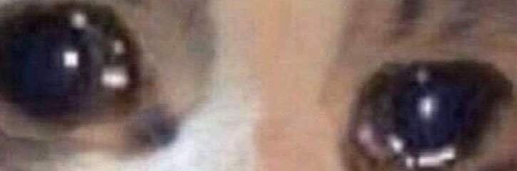 RedVolendrung's profile banner image