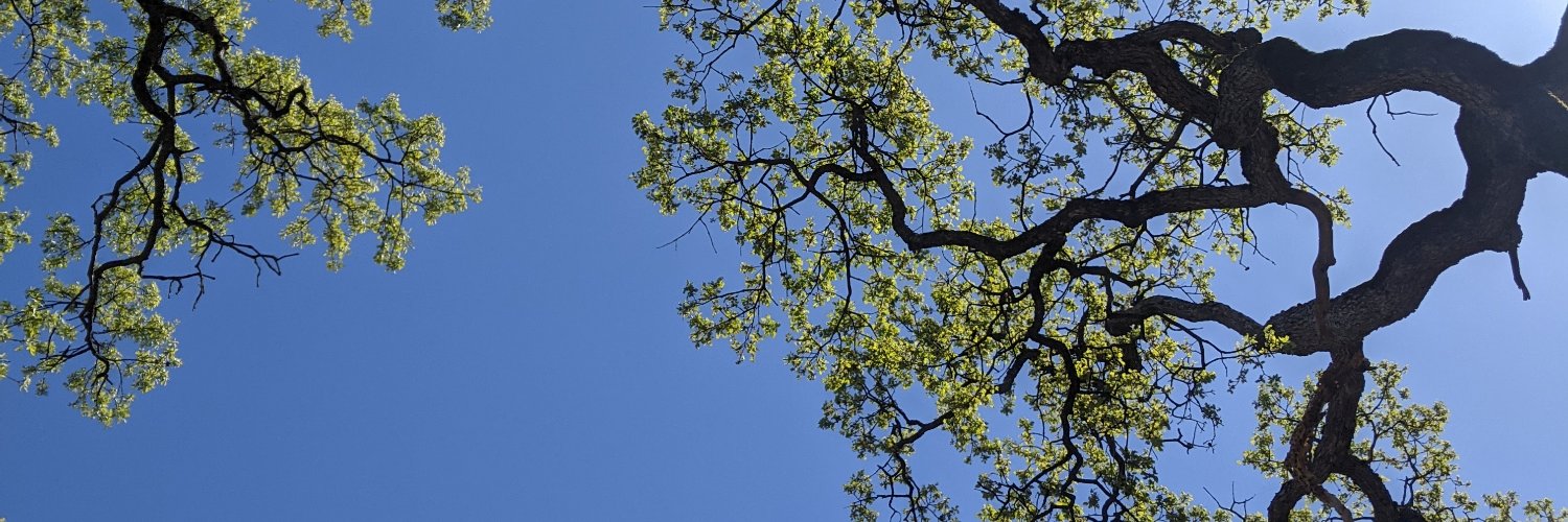ceciliaNoecker's profile banner image