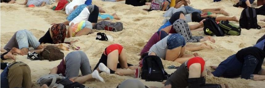 Rob Esveldt 🇳🇱 banner