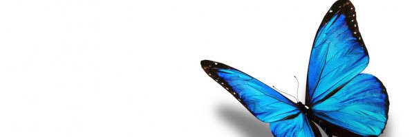 trycciacss's profile banner image