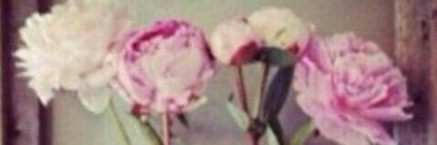 for_samaralgbe's profile banner image