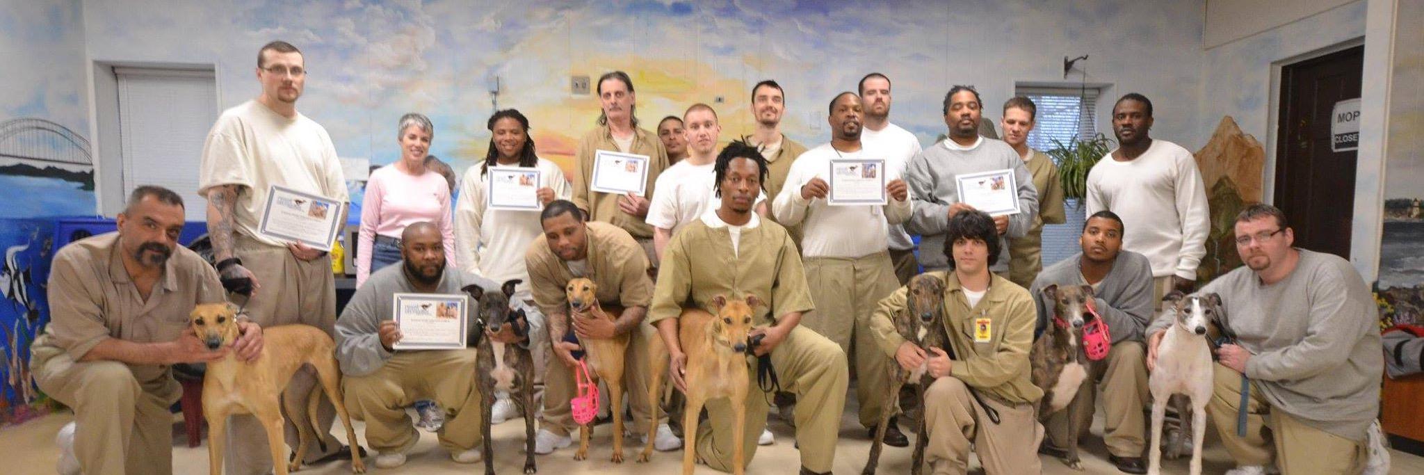 prisongreyhound's profile banner image