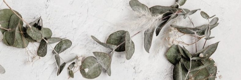 laure_scover's profile banner image