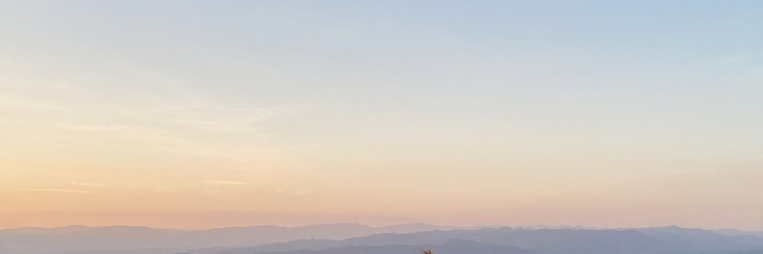 ꓄𝞉𝗁𝗂𝗍𝗂𝞉𝗇~˙ᵕ˙ banner