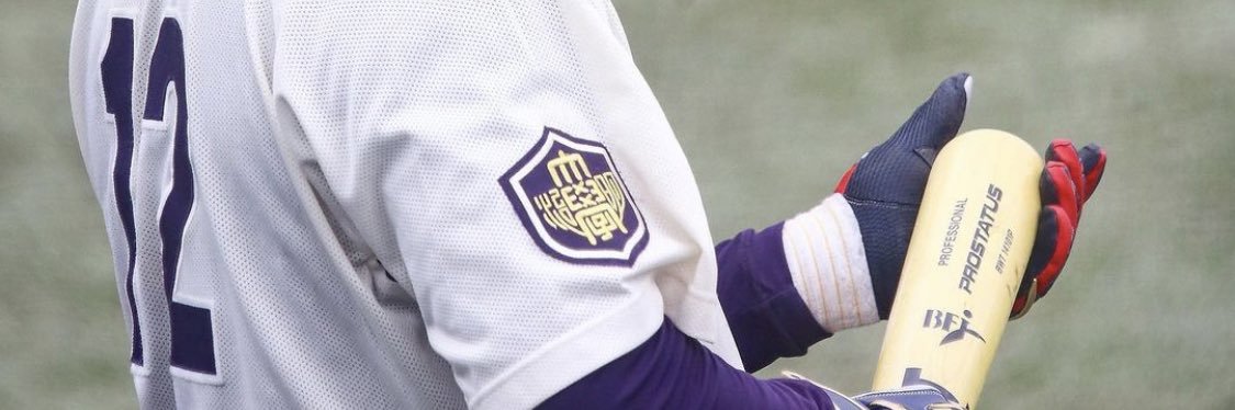 Baseballueriku's profile banner image