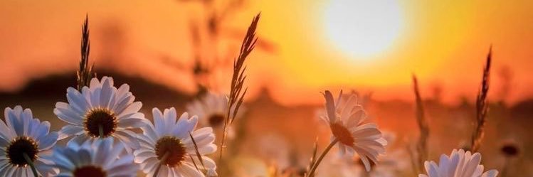 BlancoGina's profile banner image