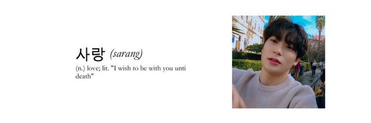 nicottirn's profile banner image