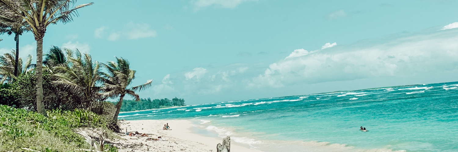 paolamblanco's profile banner image
