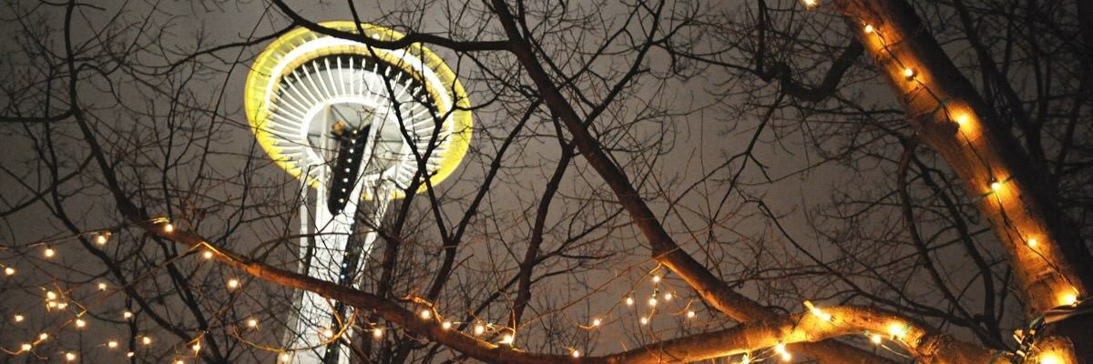 shieldslax's profile banner image