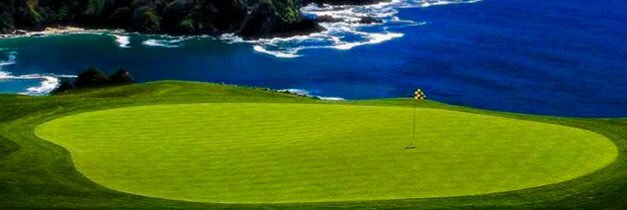 Surfsideagain's profile banner image