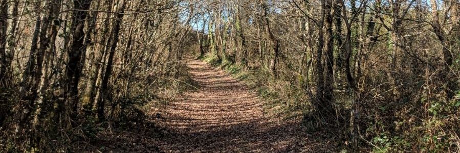 Alvaro García Graña banner