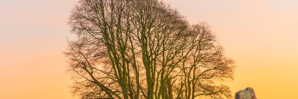 francomolina97 Profile Banner