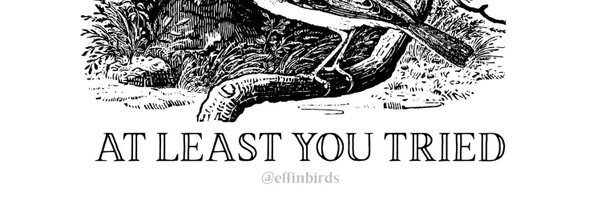 MWillertz Profile Banner