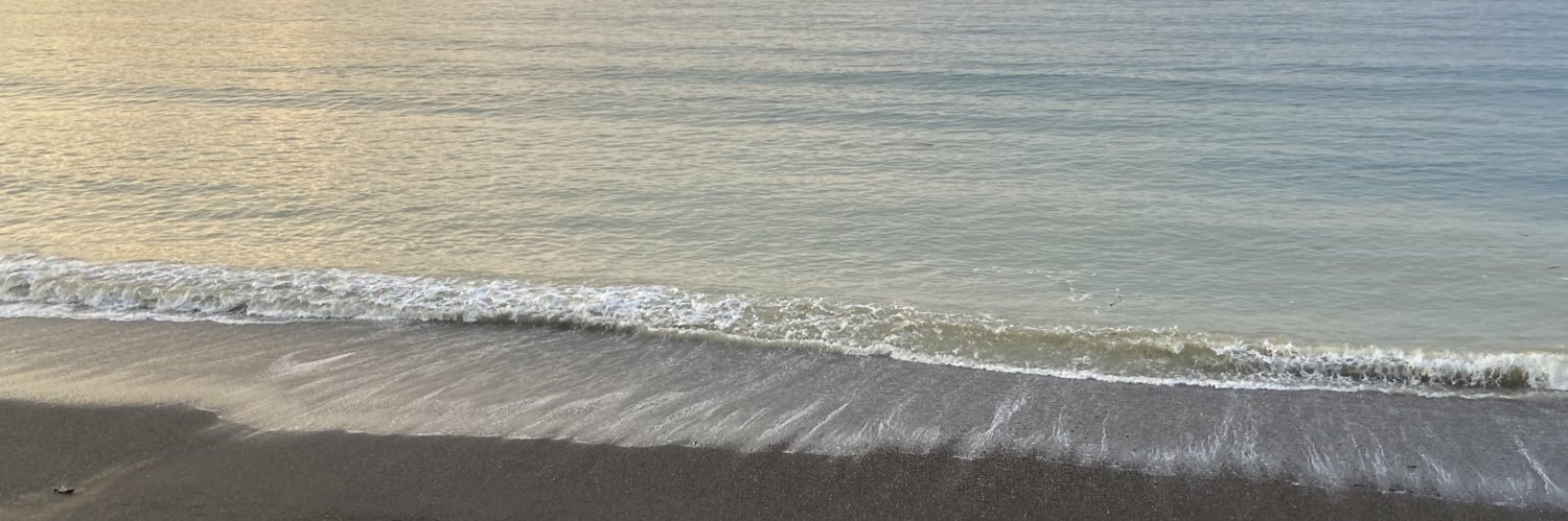 user2399M's profile banner image