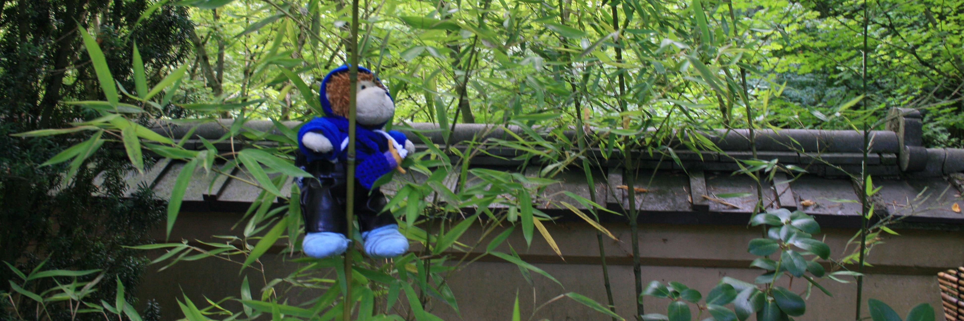 TheSmoochMonkey's profile banner image