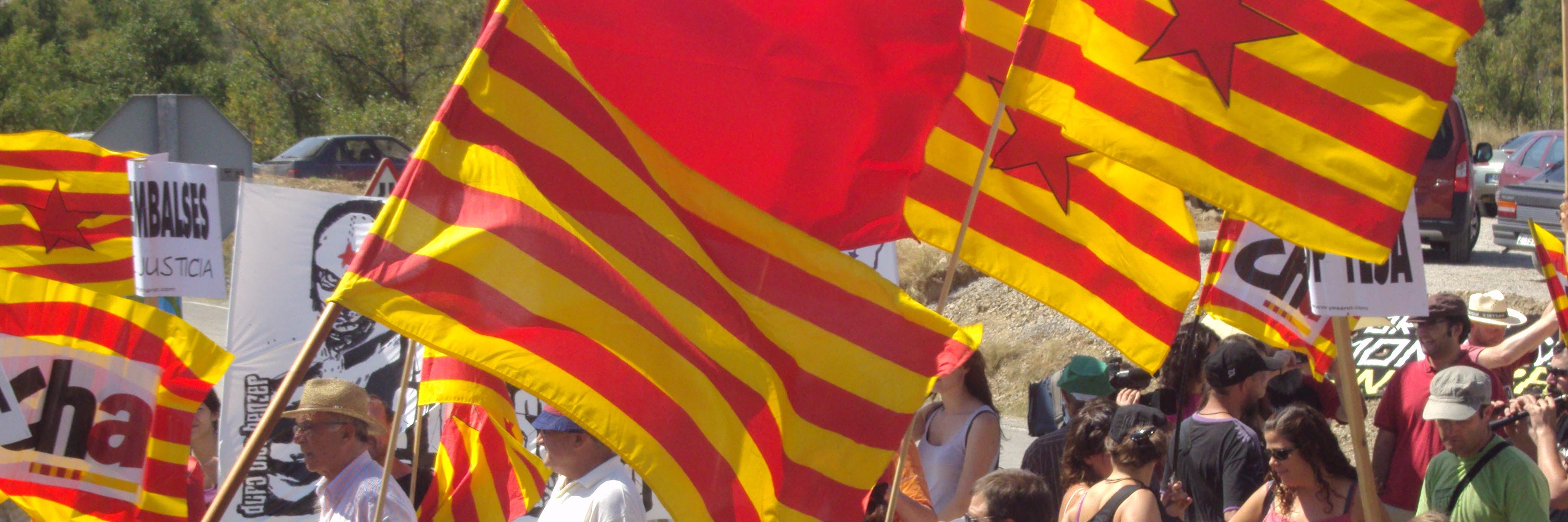 ChaJacetania's profile banner image