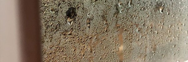 Fiddddddd_ Profile Banner