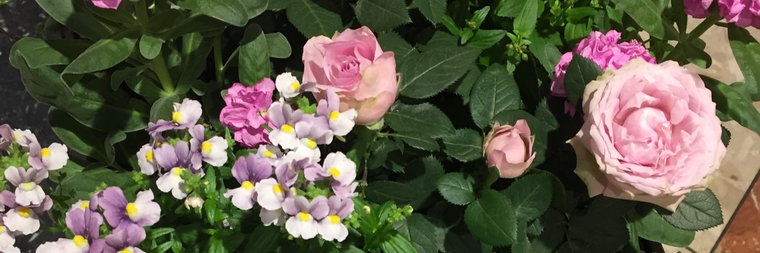 ks601066's profile banner image