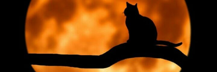 Chema182Chema's profile banner image
