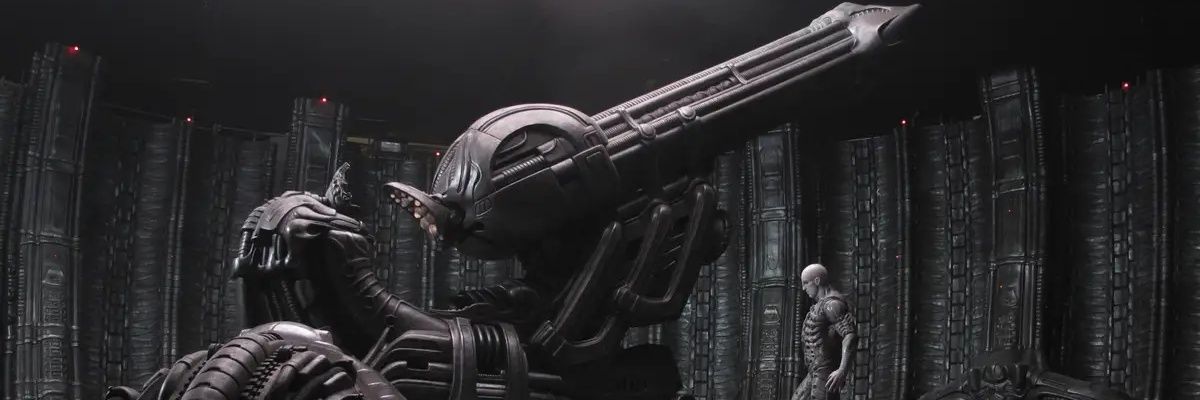 Steve banner