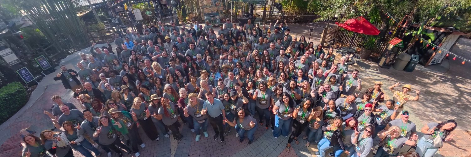 USF Credit Union banner