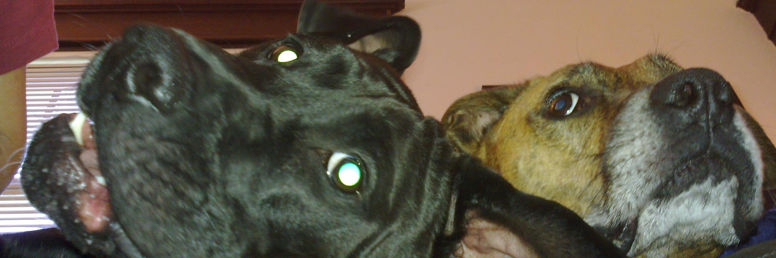 Mark_Nuyens's profile banner image