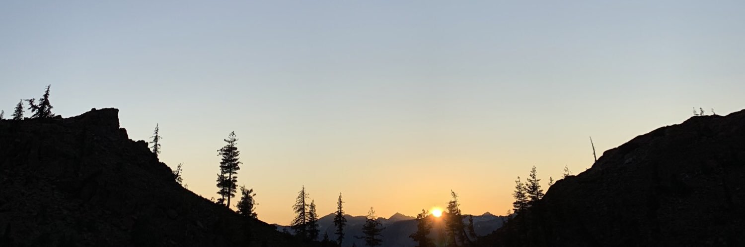 Walter Wuthmann banner