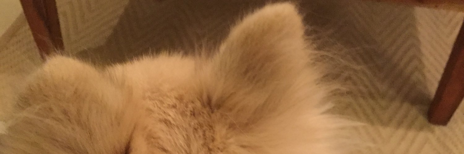 broiler010's profile banner image