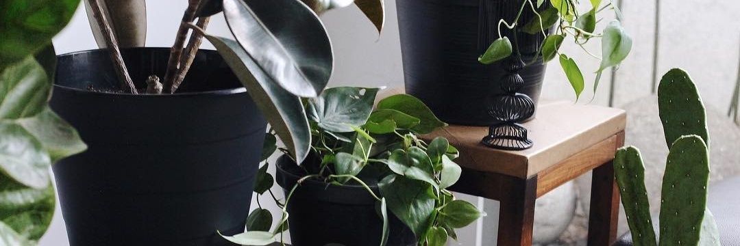 KatBellezza's profile banner image