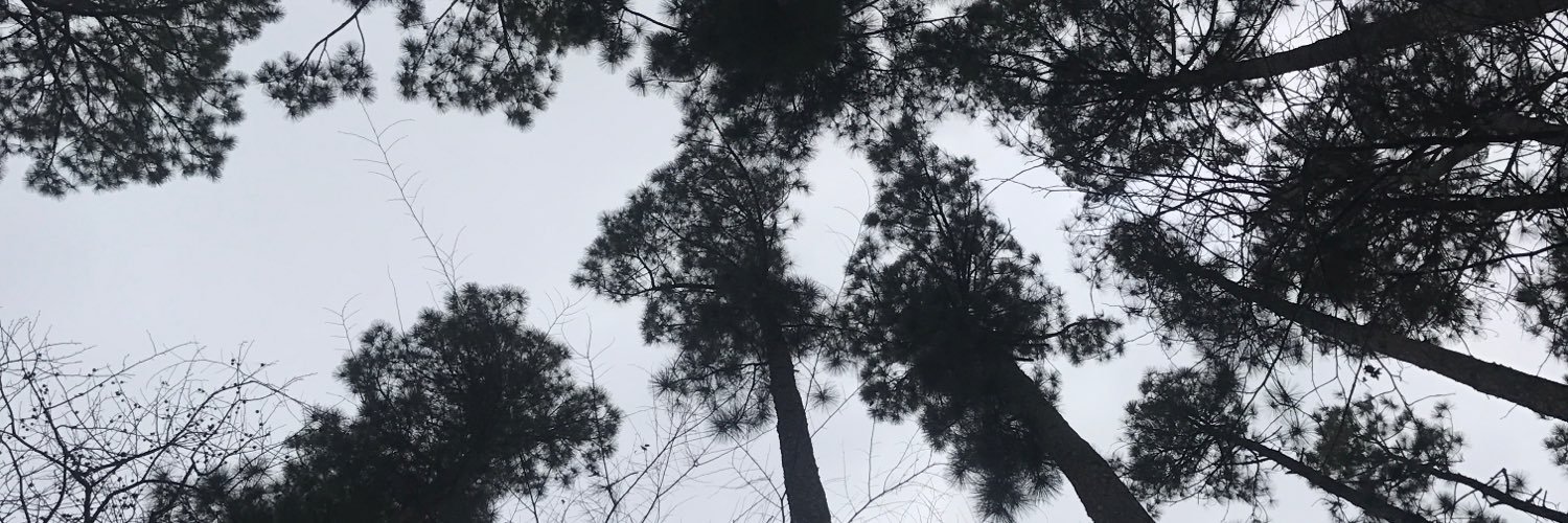 EMCavett's profile banner image