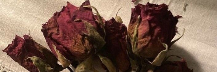 mire_fg16's profile banner image