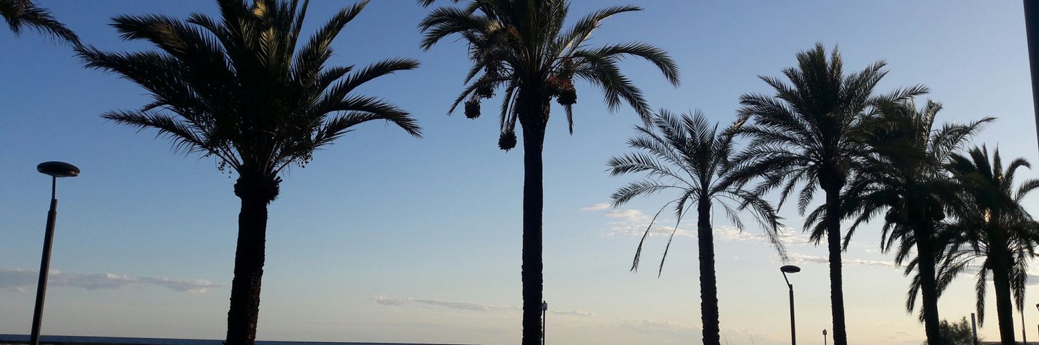 almabo_2015's profile banner image