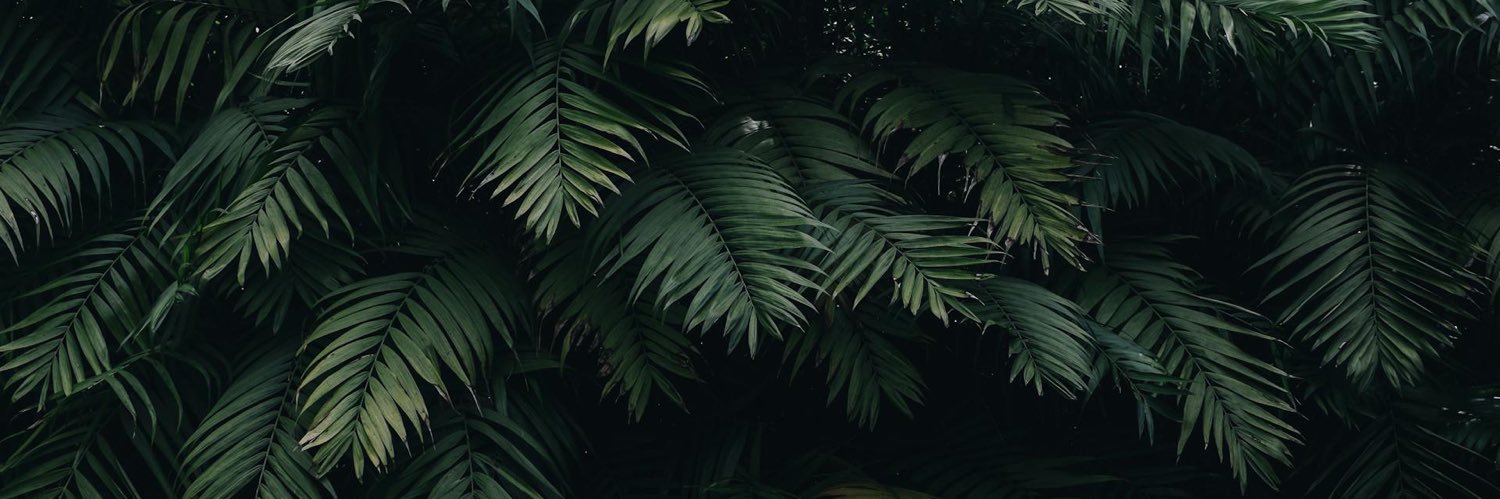 90ycx's profile banner image