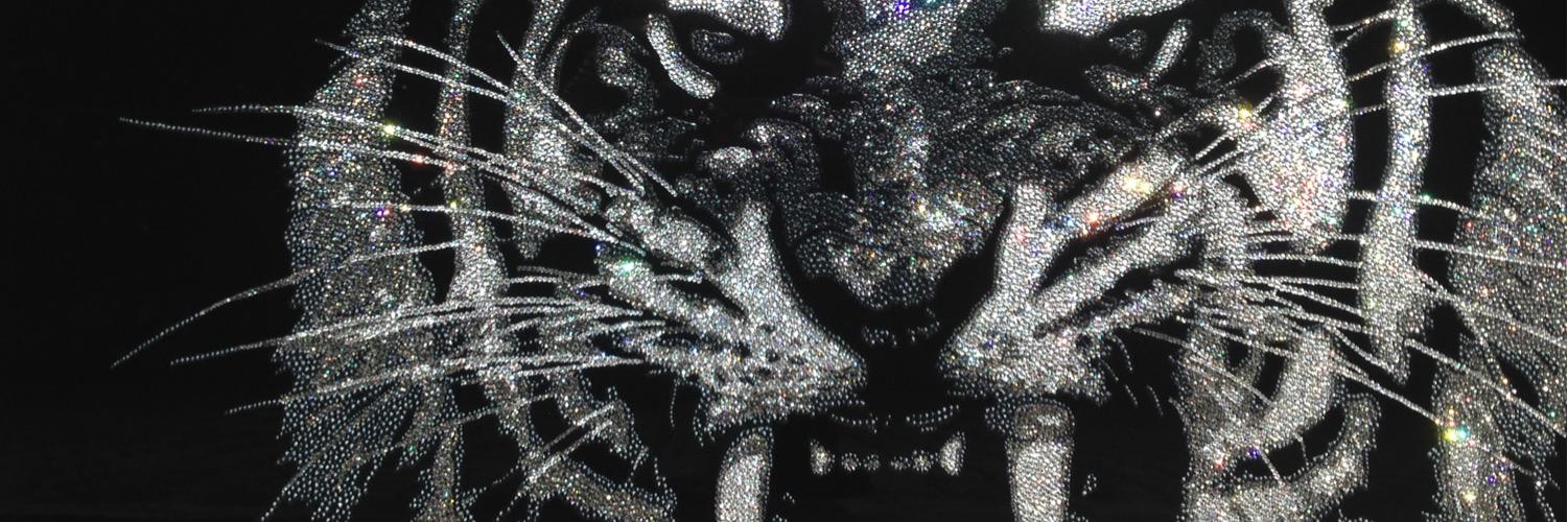 DiazziRoberta's profile banner image