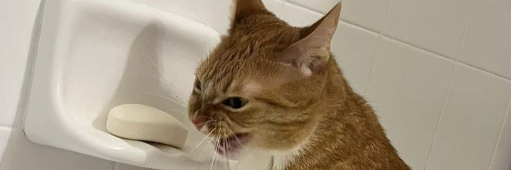 SassMasterSatan's profile banner image
