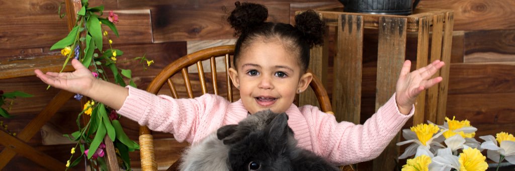 Maddison Rose banner
