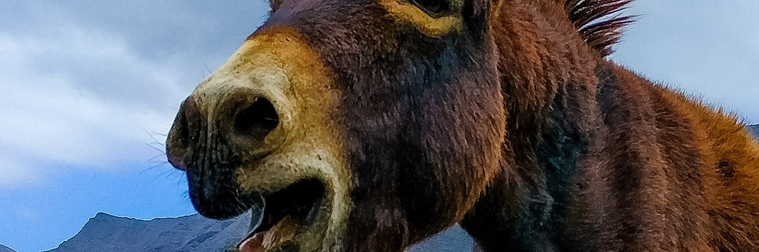 aOstfriese's profile banner image