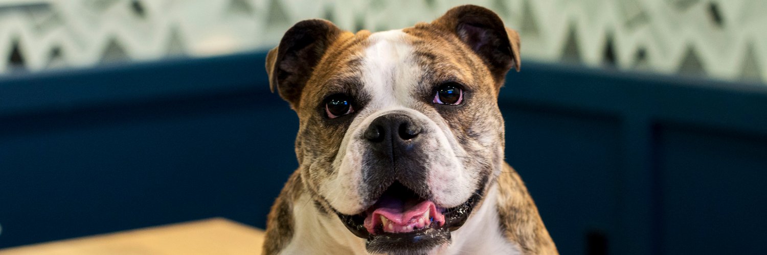 Nick Whitmoyer banner