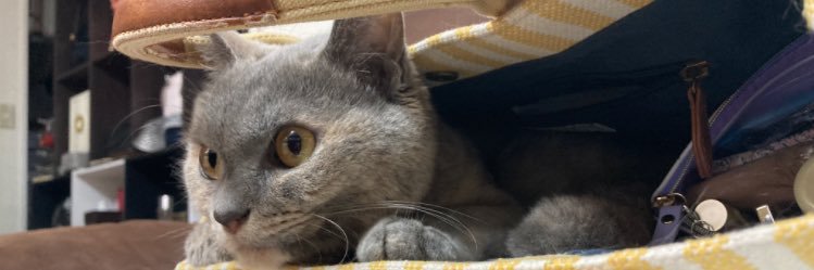 MedelChance's profile banner image