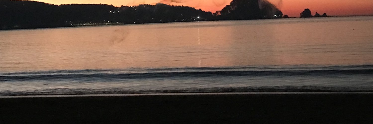 Nicolancol's profile banner image