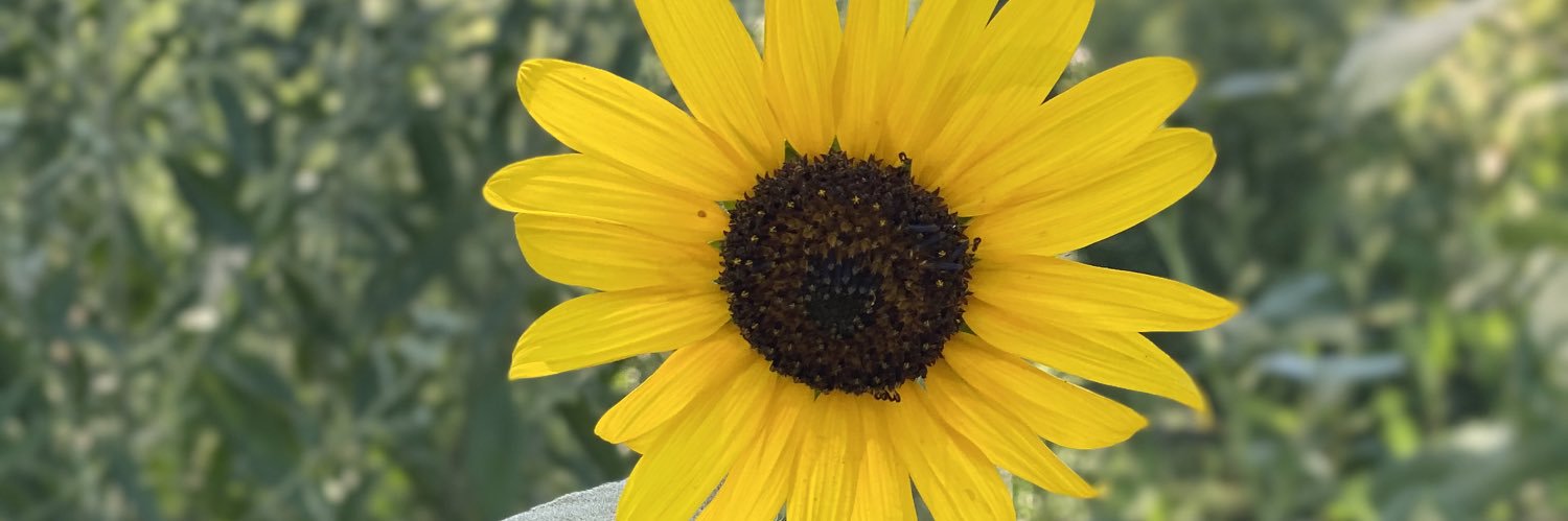 JozieMariee's profile banner image