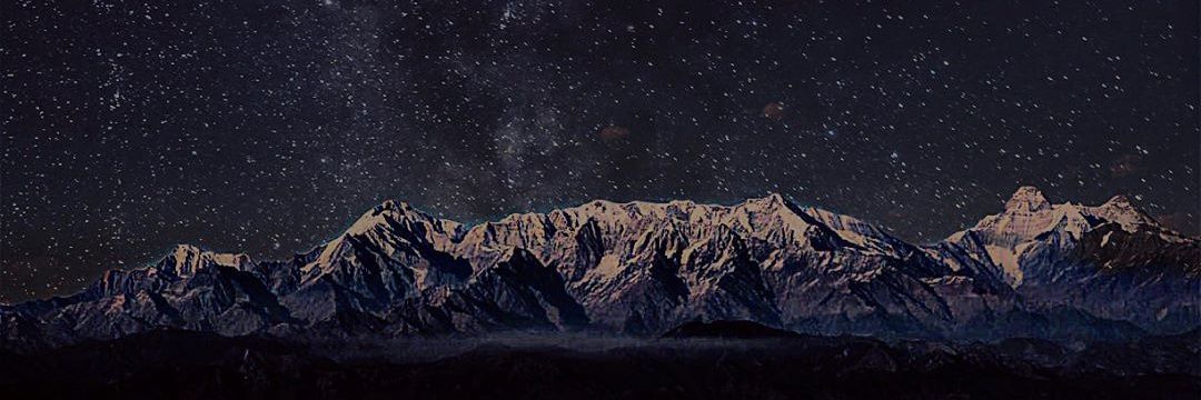 nucleophile_'s profile banner image