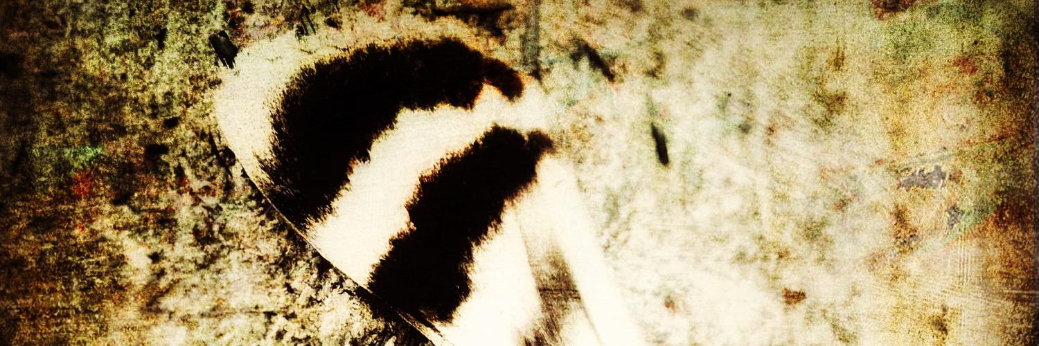 darkstar6's profile banner image