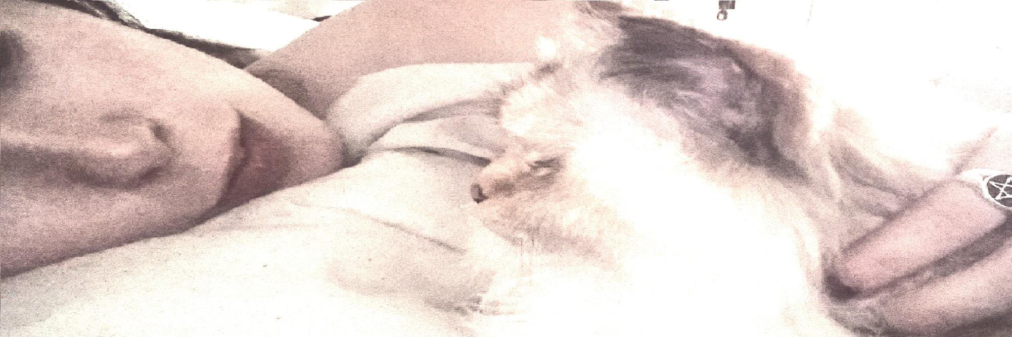 xPrincessAlien's profile banner image