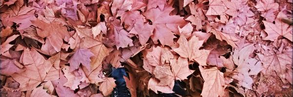 dddzull's profile banner image