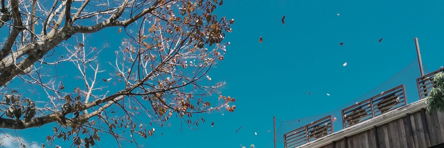 thejericgalvez's profile banner image