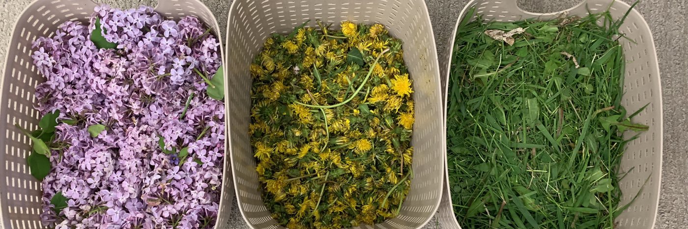 Kara Fidelack banner