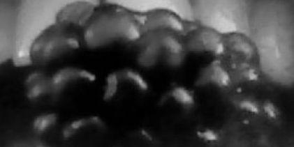 Lola banner