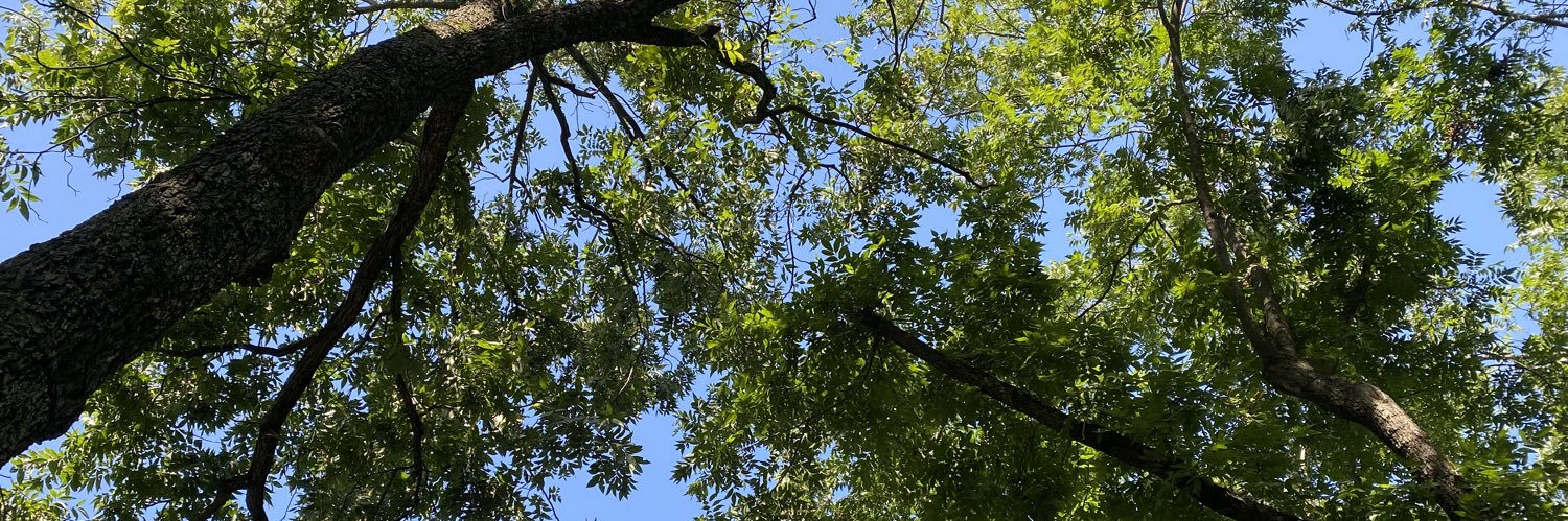 itsbrittbitch21's profile banner image
