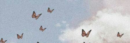 chinarigou's profile banner image
